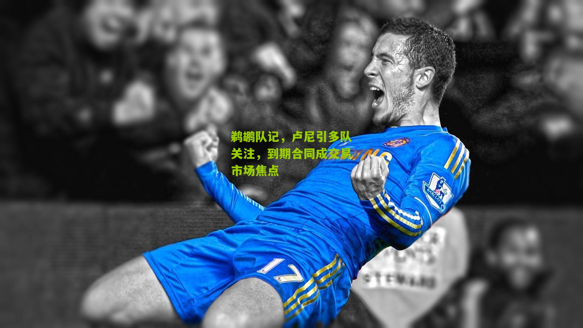 鹈鹕队记，卢尼引多队关注，到期合同成交易市场焦点